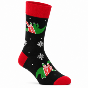 Festive Dinosaur Pair Socks