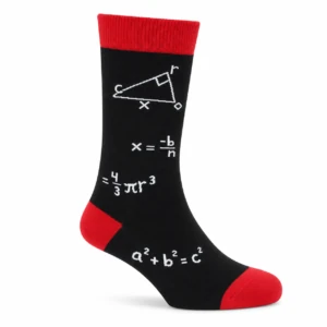 Math Formula Pair Socks